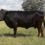 2020 62-8 2eDroog 4jr