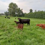 IMG20230828195323-kalfjes-aug23