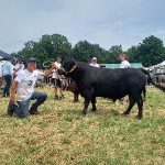 00 Horus showwinnaar