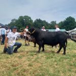 Horus winnaar aalten